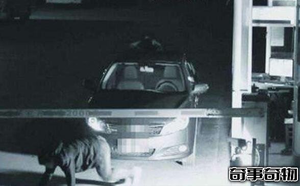 天隆寺站鬧鬼_白溝站附近小姐_白溝加油站鬧鬼