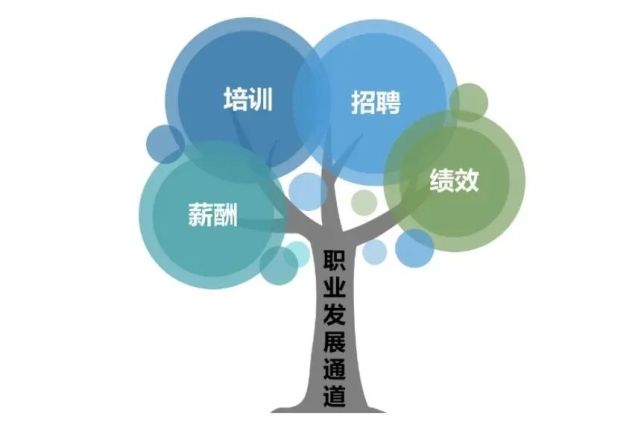 高級人力管理資源師_人力資源管理swto_香洲區人力資源開發管理服務中心