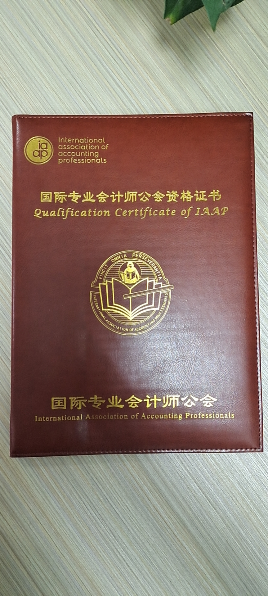 報考注冊會計師的條件_招標(biāo)師報考免試條件_報考會計初級職稱需要什么條件
