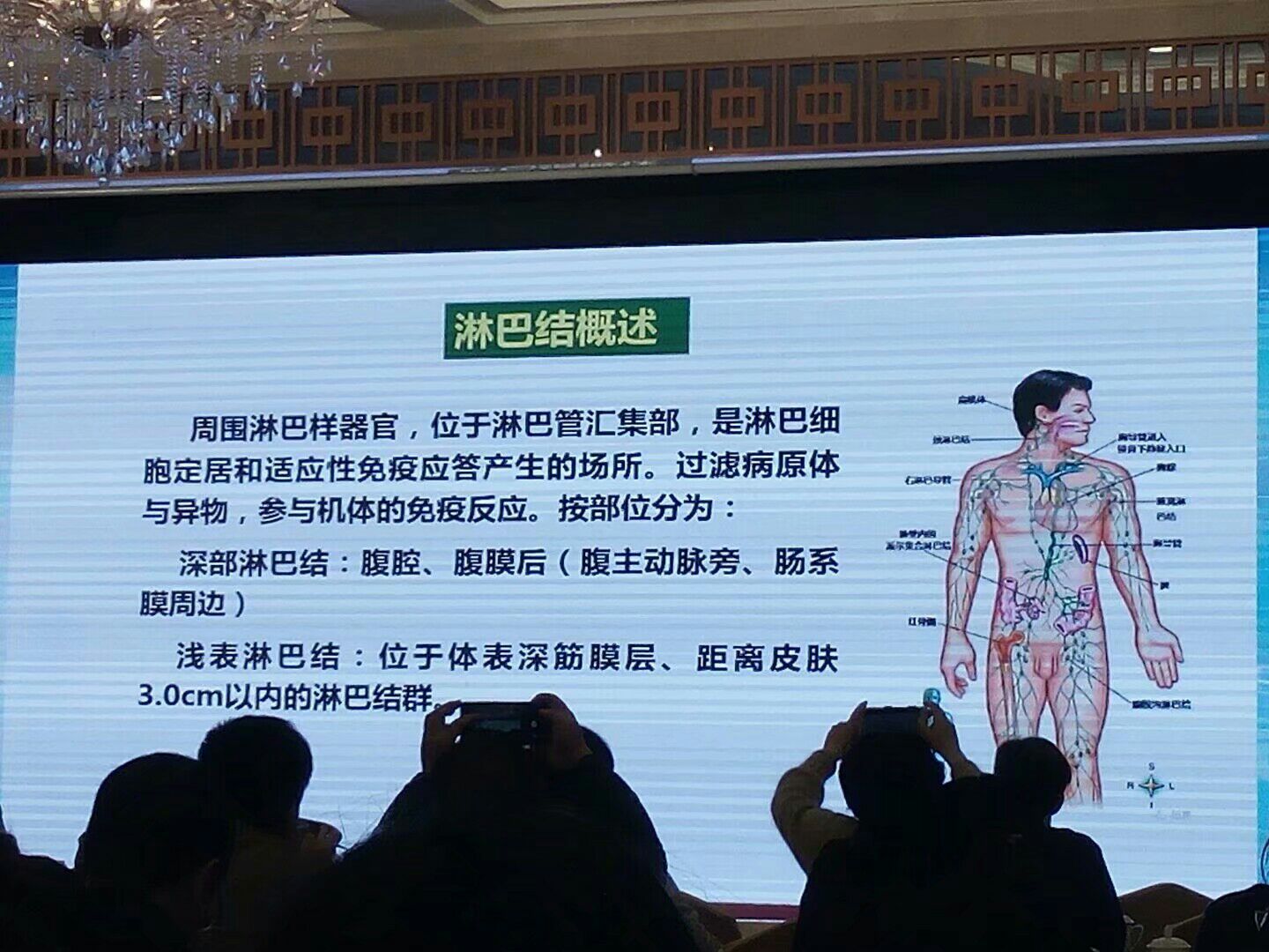 腹股斜溝疝要不要緊_腹部溝酸脹是淋巴發炎嗎_腹股溝淋巴結觸診