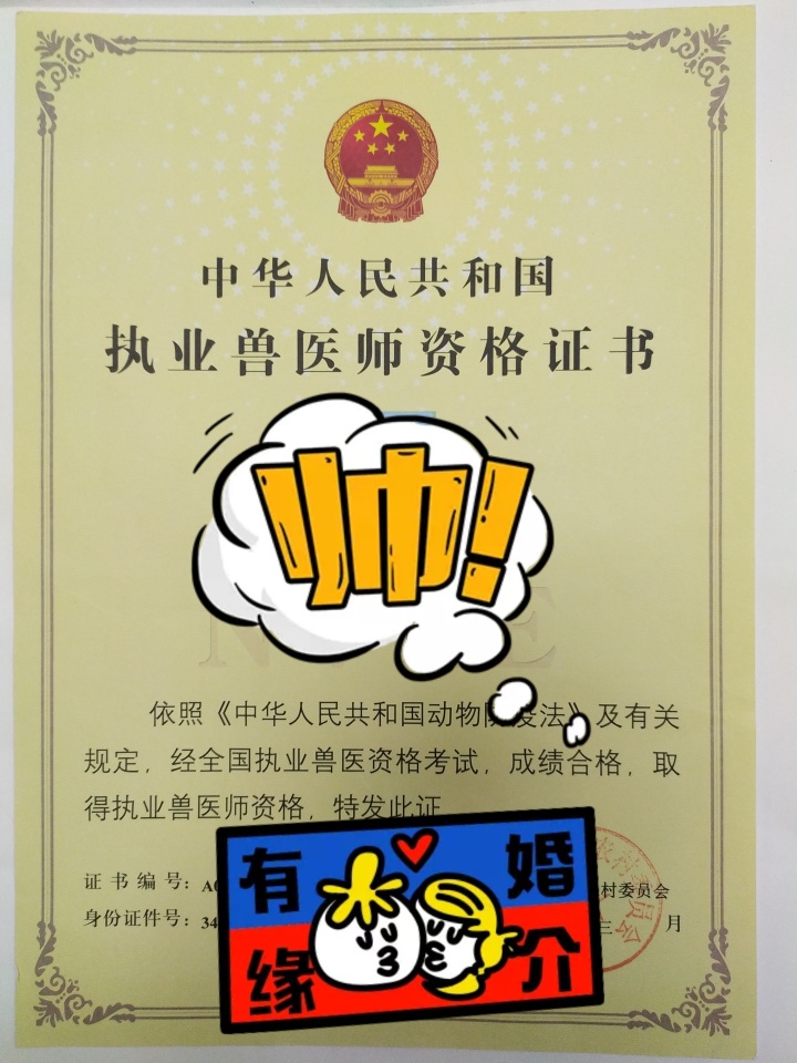 中國執(zhí)業(yè)獸醫(yī)網(wǎng)_中國執(zhí)業(yè)獸醫(yī)考試網(wǎng)_執(zhí)業(yè)獸醫(yī)資格考試官網(wǎng)