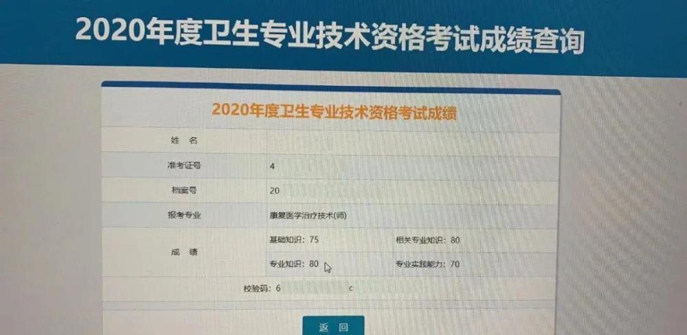 中國衛(wèi)生人才考試網_中國衛(wèi)生人才網站_中國衛(wèi)生人才成績查詢