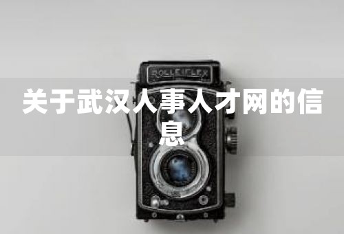 關于武漢人事人才網的信息
