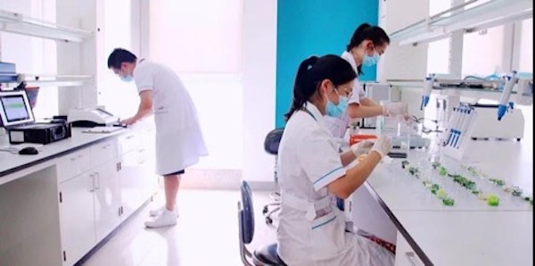 江蘇食品追溯_上海市食品追溯平臺(tái)_食品追溯系統(tǒng)