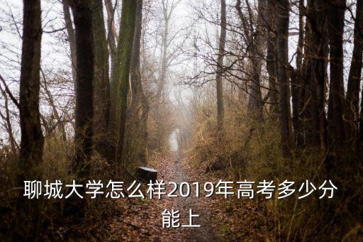 聊城大學(xué)怎么樣2019年高考多少分能上