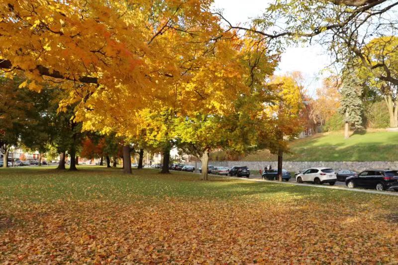 美國藝術(shù)留學(xué)作品培訓(xùn)_美國藝術(shù)留學(xué)培訓(xùn)_美國藝術(shù)留學(xué)