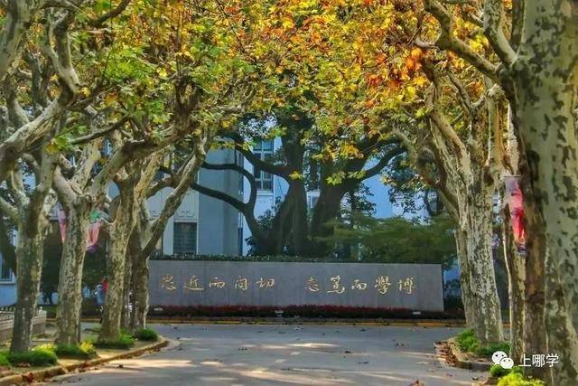 復(fù)旦附小全國(guó)排名_復(fù)旦大學(xué)附屬小學(xué)排名_復(fù)旦附小是第幾梯隊(duì)