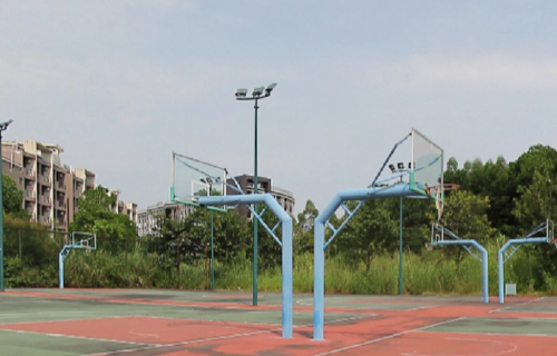 番禺區民辦小學排名_番禺區民辦小學排名_番禺區民辦小學排名