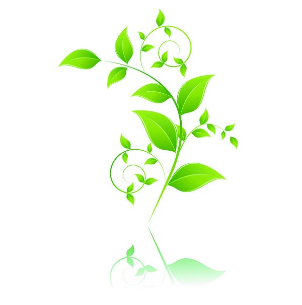 溫州宿舍最好的大學(xué)_溫州大學(xué)宿舍_溫州大學(xué)宿舍