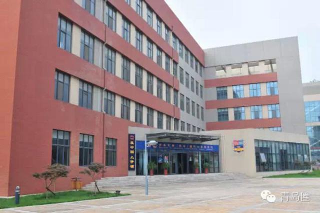 園小學濱海分校學費_天津濱海新區小學學費_濱海九小學費