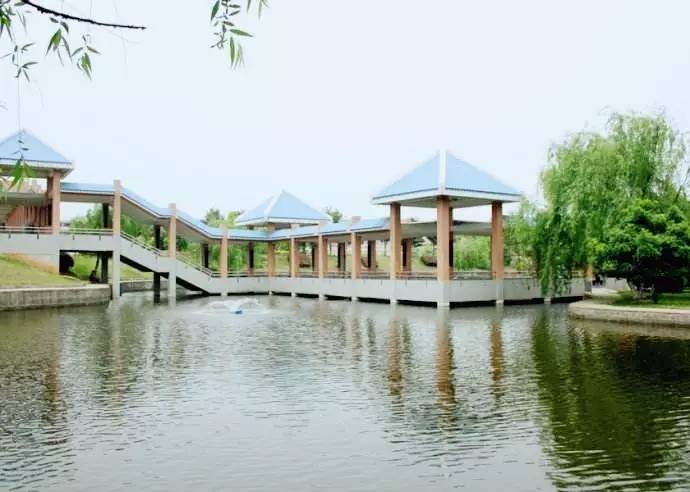 寧鄉(xiāng)一中全國(guó)排名_寧鄉(xiāng)一中重本率_寧鄉(xiāng)一中上線率