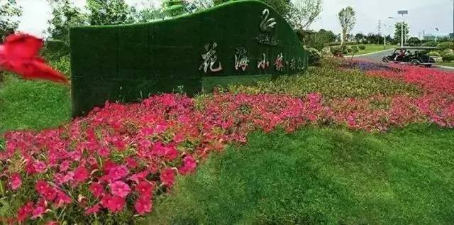 云渡古鎮(zhèn)在哪里_云附古渡口校區(qū)_云渡古城