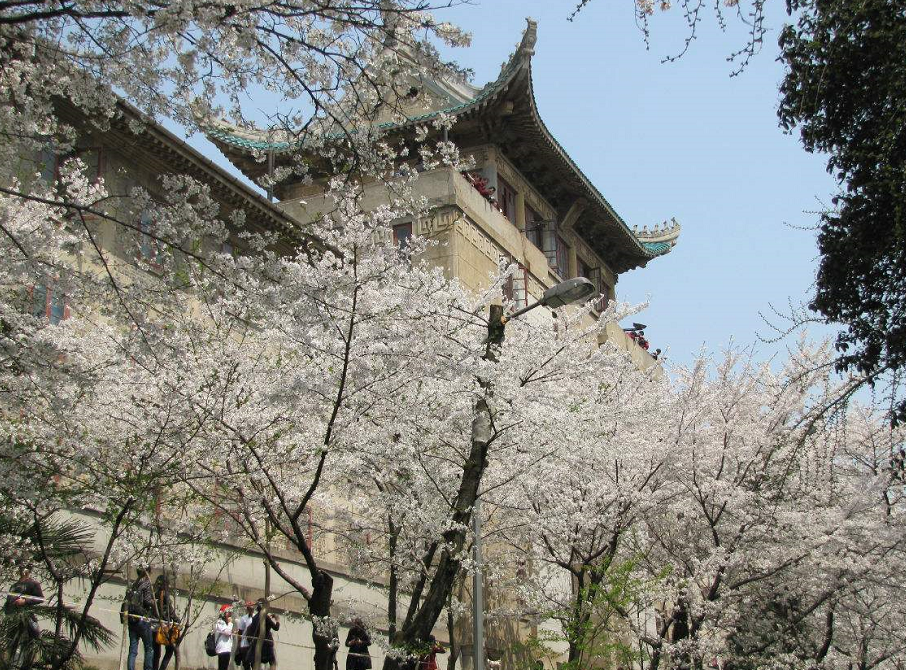 武漢大學(xué)學(xué)費_武漢大學(xué)的學(xué)費_武漢大學(xué)每學(xué)期學(xué)費