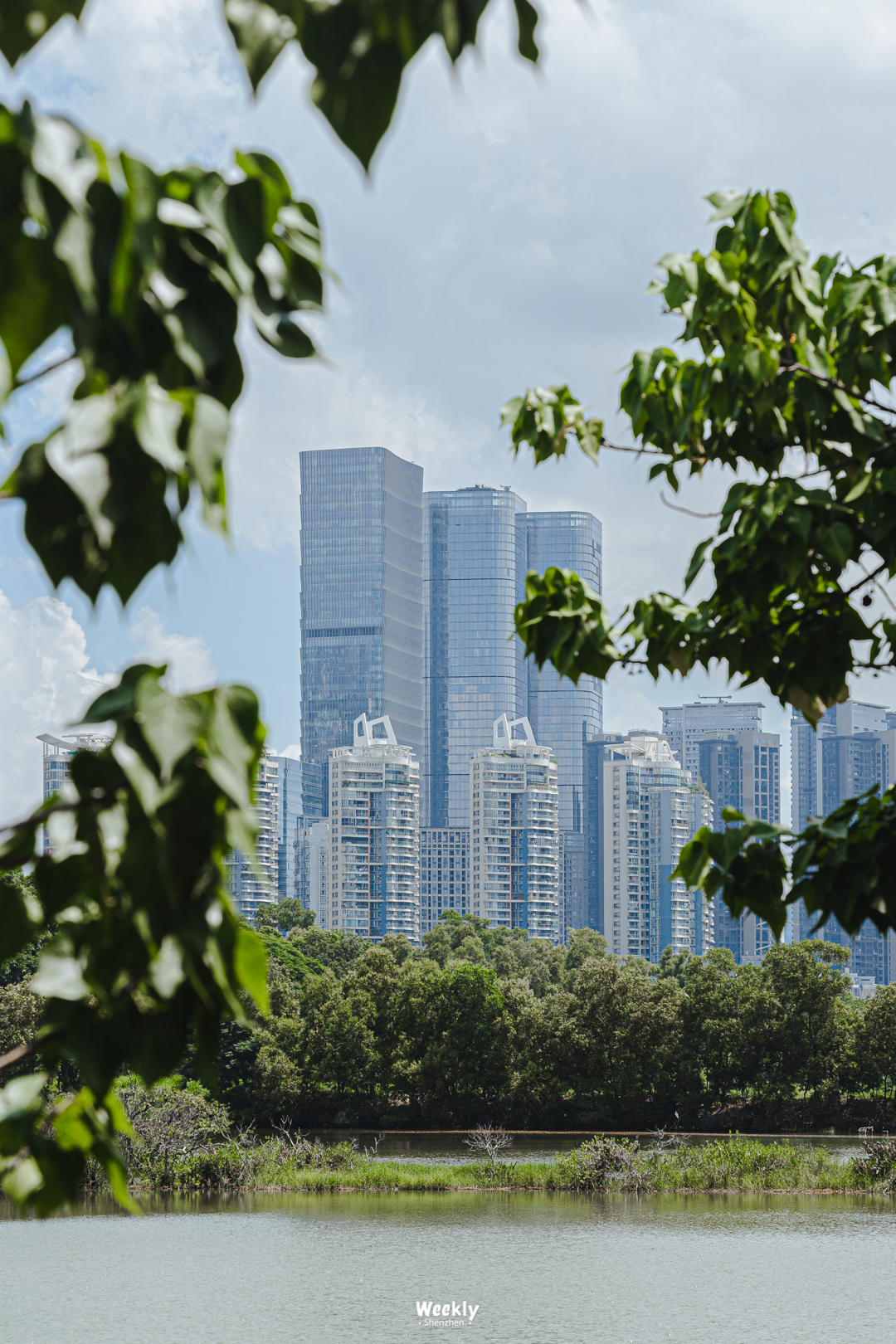 女大學生成中介銷冠：賣出上億豪宅_中介賣豪宅提成_豪宅買賣中介