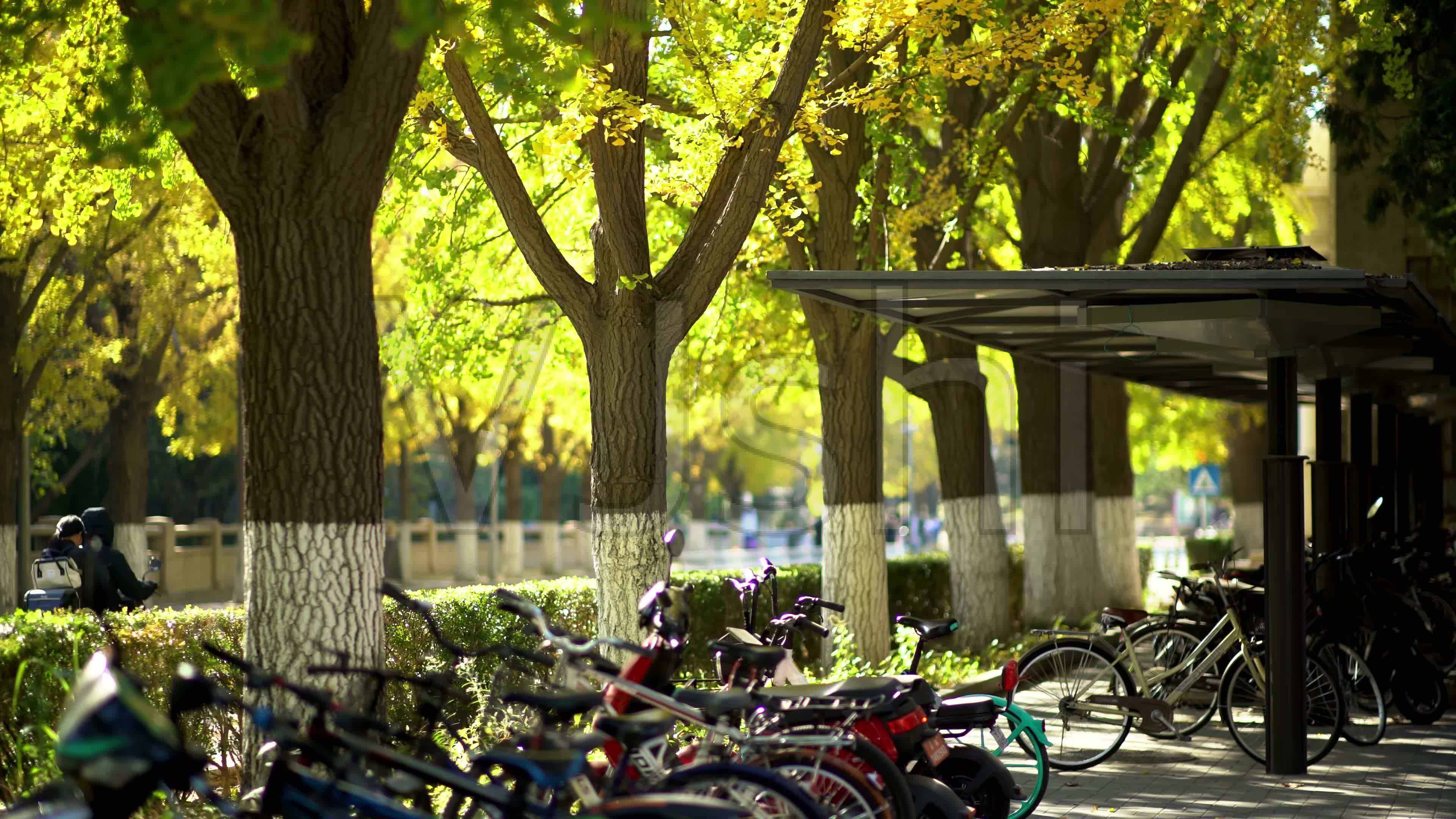 珠海理工大學分數線是多少_2024年北京理工大學珠海分院錄取分數線（2024各省份錄取分數線及位次排名）_珠海理工多少分