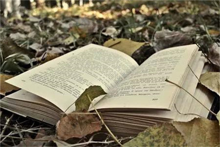 廣東自考專業科目一覽表?