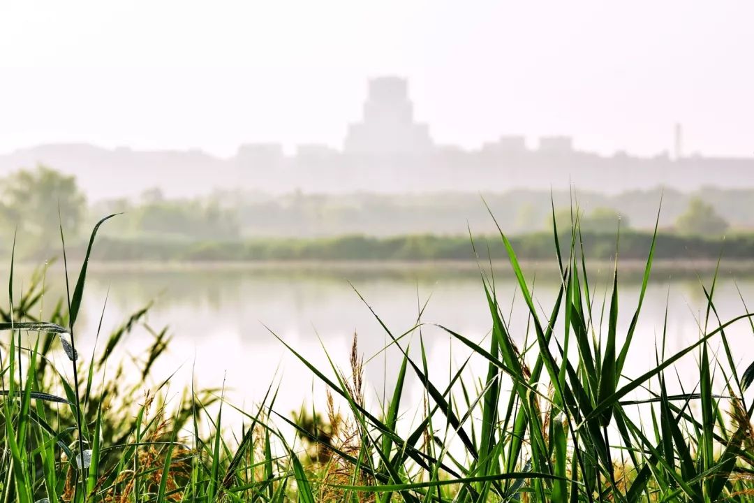 西安的本科大學排名_西安本科大學排名榜_西安三本大學排名