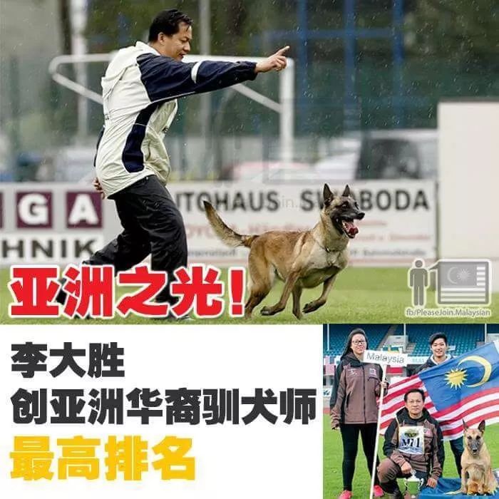 重慶銀利寵物美容學(xué)校_重慶銀利寵物學(xué)校學(xué)費(fèi)_重慶寵物美容培訓(xùn)學(xué)校排名