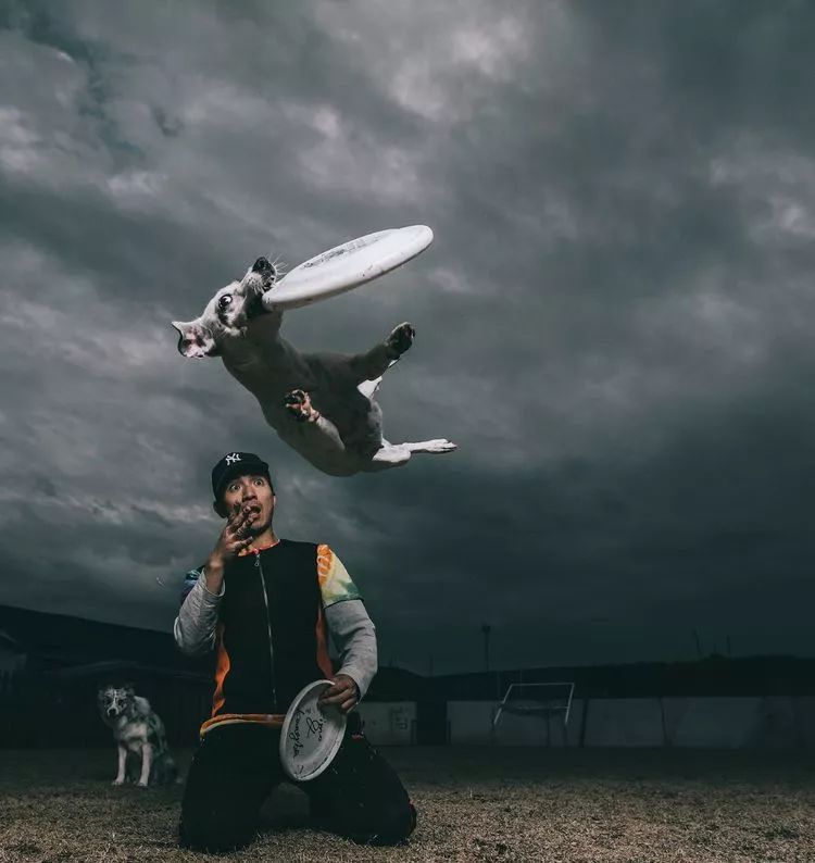 重慶銀利寵物學(xué)校學(xué)費(fèi)_重慶銀利寵物美容學(xué)校_重慶寵物美容培訓(xùn)學(xué)校排名