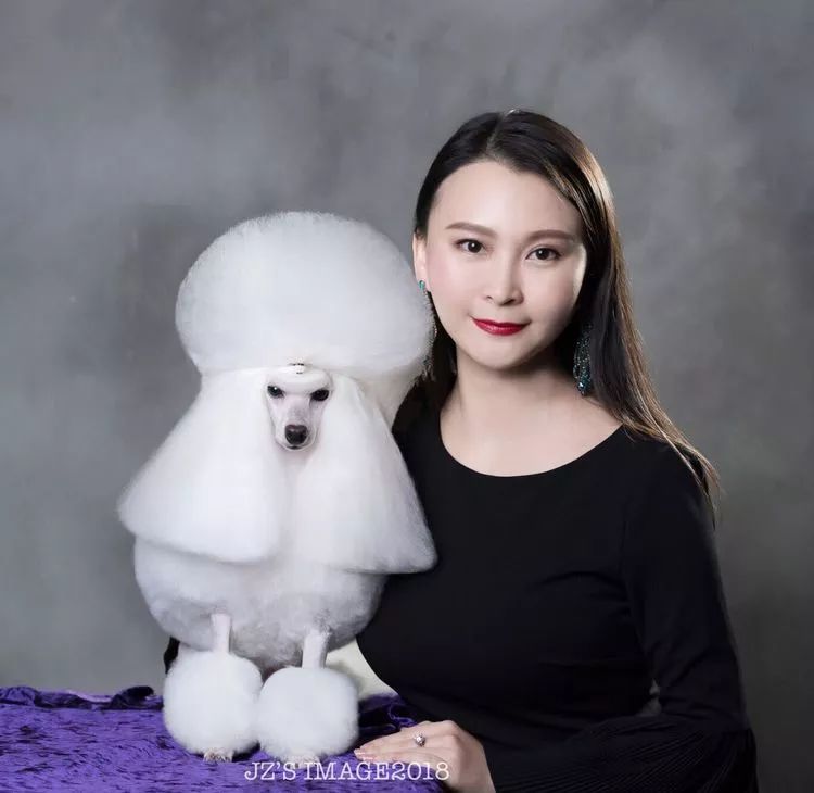 重慶銀利寵物美容學(xué)校_重慶銀利寵物學(xué)校學(xué)費(fèi)_重慶寵物美容培訓(xùn)學(xué)校排名