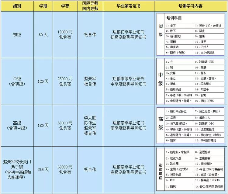 重慶銀利寵物美容學(xué)校_重慶銀利寵物學(xué)校學(xué)費(fèi)_重慶寵物美容培訓(xùn)學(xué)校排名