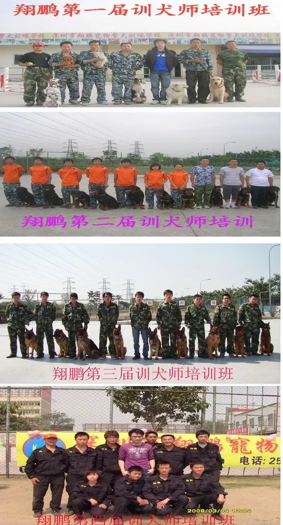 重慶銀利寵物學(xué)校學(xué)費(fèi)_重慶寵物美容培訓(xùn)學(xué)校排名_重慶銀利寵物美容學(xué)校