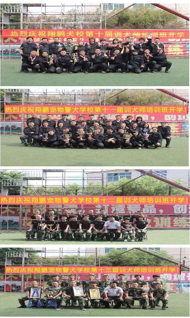 重慶銀利寵物學(xué)校學(xué)費(fèi)_重慶寵物美容培訓(xùn)學(xué)校排名_重慶銀利寵物美容學(xué)校