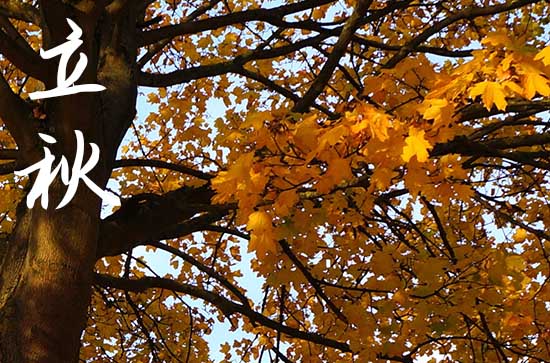 今年立秋是什么時間幾點幾分2024 立秋后還會熱死牛嗎