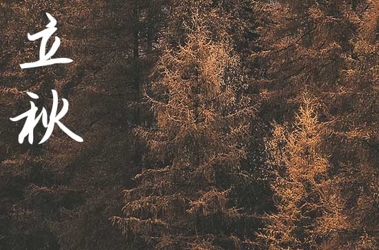 今年七月初四立秋是早立秋嗎2024 立秋早晚的定義