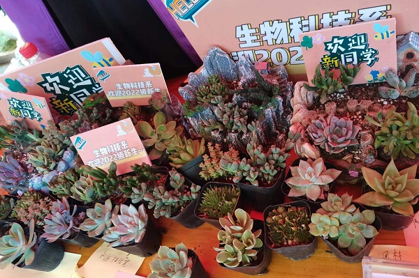 青島農業大學教務信息網入口_青島農業教務大學管理系統官網_青島農業大學教務管理系統