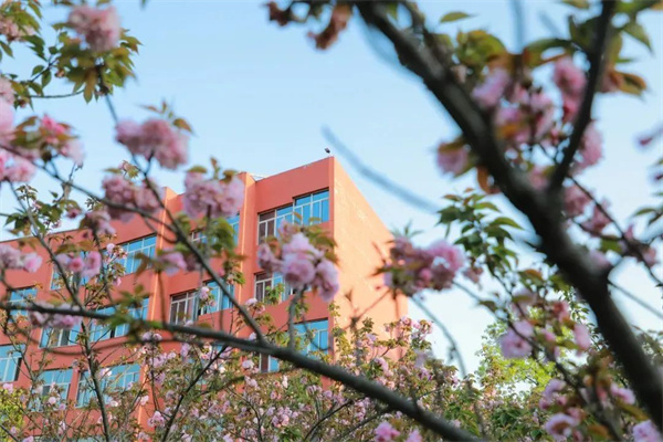 武漢城市職業(yè)學(xué)院分?jǐn)?shù)線_江西應(yīng)用工程職業(yè)學(xué)院招生信息_江西應(yīng)用工程職業(yè)學(xué)院高職單招