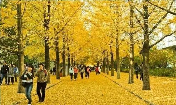 皖西學(xué)院是幾本院校?在安徽排名怎么樣?最好的專業(yè)是什么?