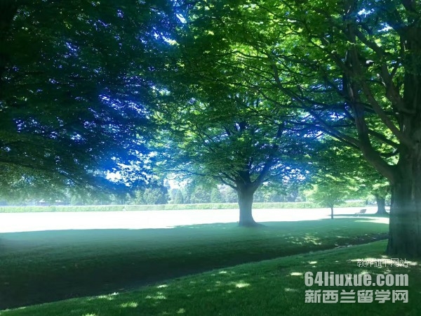 留學(xué)新西蘭大學(xué)的條件