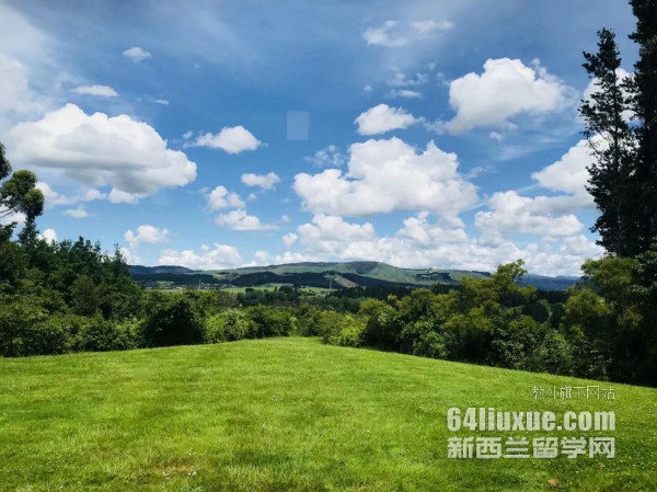 新西蘭音樂(lè)學(xué)專業(yè)好就業(yè)嗎