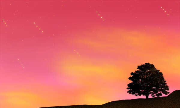 湖北師范大學是幾本?屬于一本還是二本?2025年分數線預測及報考建議