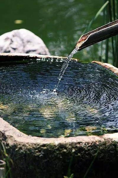 夏至詩詞_元稹夏至詩_夏天景色的詩句