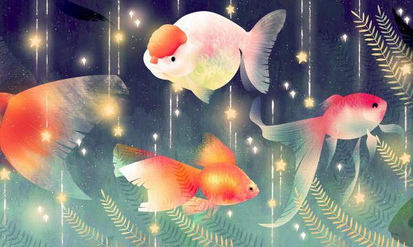 2025美術生藝考多少分可以上一本