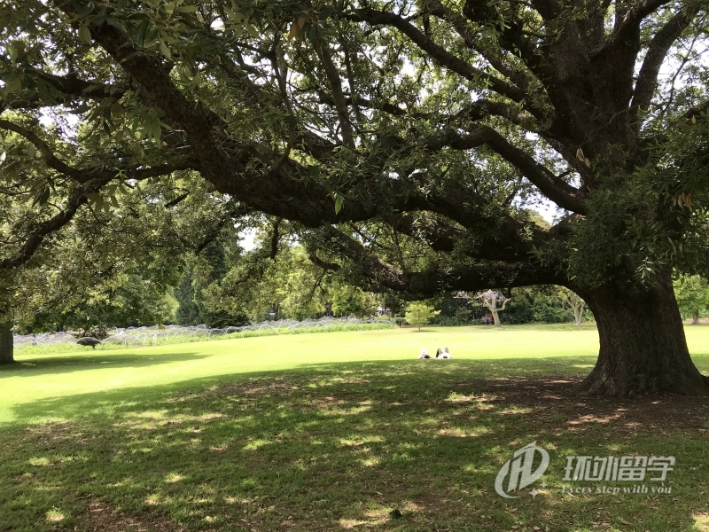 亞太科技大學會計碩士
